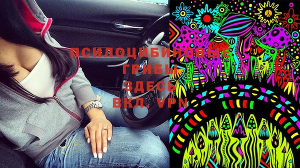 apvp Горняк