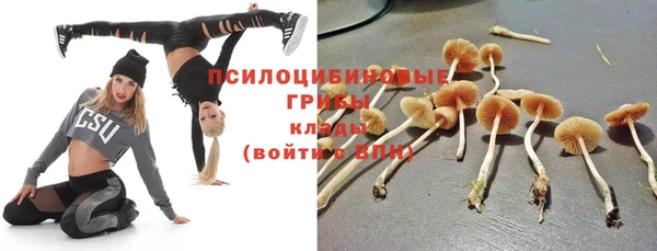 spice Горно-Алтайск