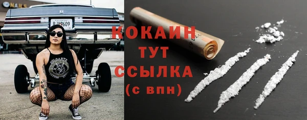 apvp Горняк