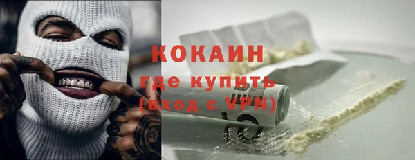 apvp Горняк
