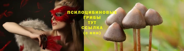 apvp Горняк