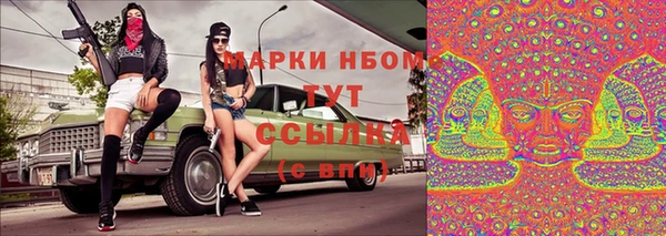 apvp Горняк