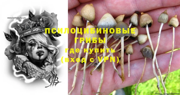 apvp Горняк