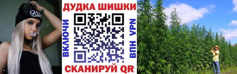 сколько стоит  Новая Ладога  Марихуана марихуана 